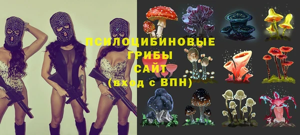 каннабис Алексеевка