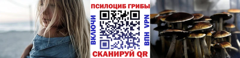 Галлюциногенные грибы Psilocybine cubensis сколько стоит маркетплейс клад Черноголовка