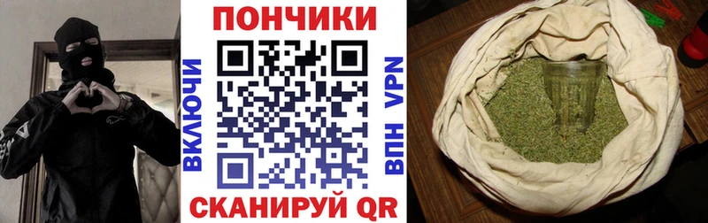 Каннабис OG Kush Черноголовка
